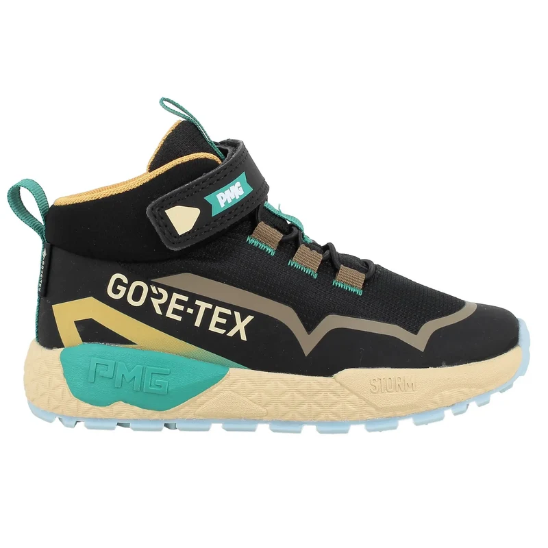 PRIMIGI GORE-TEX Knöchelschuh STORM 24193-66 - schwarz / braun