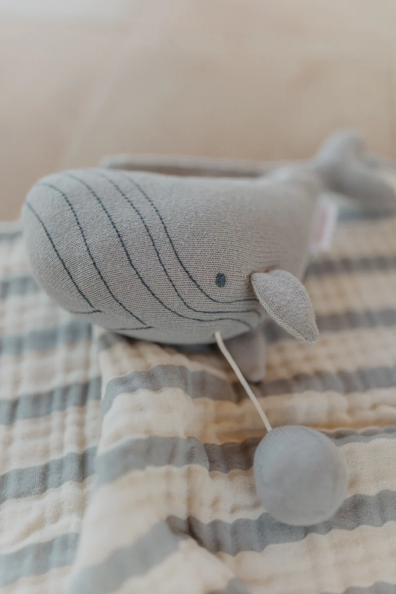 Spieluhr 'whale'