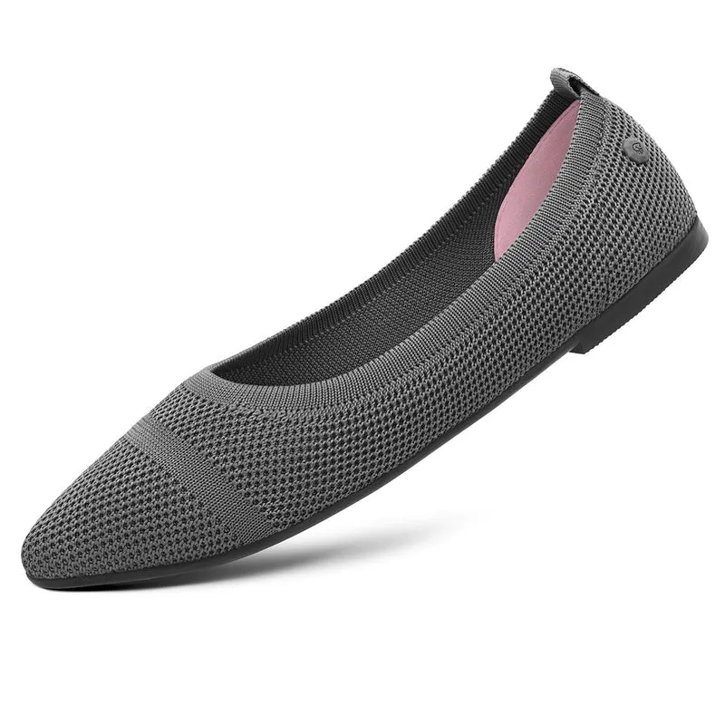 Eco Ballerinas Pointy 2.0